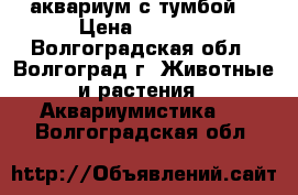 аквариум с тумбой. › Цена ­ 7 000 - Волгоградская обл., Волгоград г. Животные и растения » Аквариумистика   . Волгоградская обл.